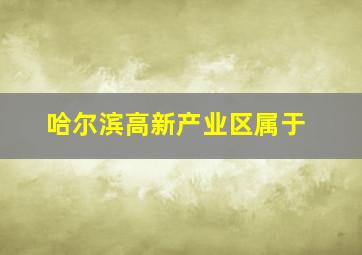 哈尔滨高新产业区属于