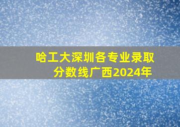 哈工大深圳各专业录取分数线广西2024年