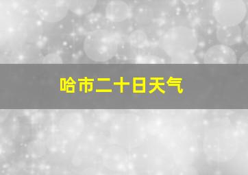 哈市二十日天气