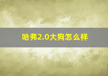 哈弗2.0大狗怎么样