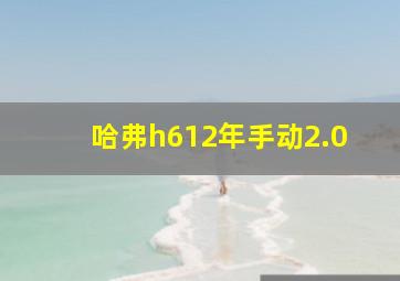 哈弗h612年手动2.0