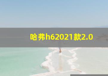 哈弗h62021款2.0