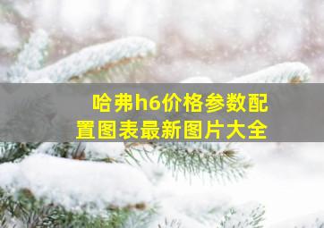 哈弗h6价格参数配置图表最新图片大全