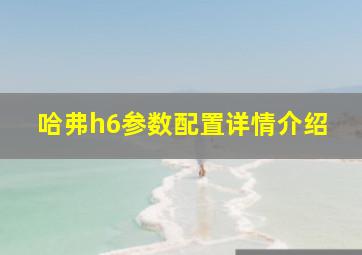 哈弗h6参数配置详情介绍