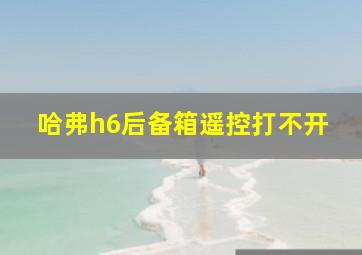 哈弗h6后备箱遥控打不开