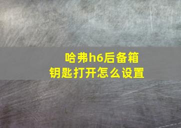 哈弗h6后备箱钥匙打开怎么设置