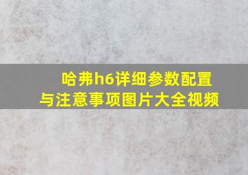 哈弗h6详细参数配置与注意事项图片大全视频