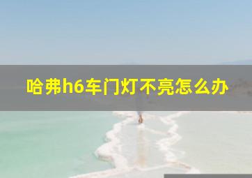 哈弗h6车门灯不亮怎么办