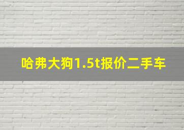 哈弗大狗1.5t报价二手车