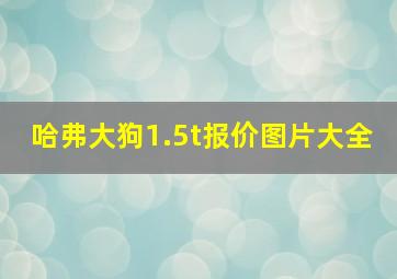 哈弗大狗1.5t报价图片大全