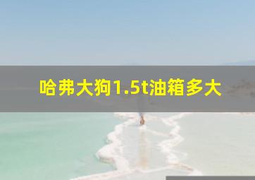 哈弗大狗1.5t油箱多大