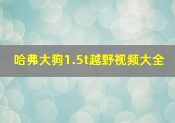 哈弗大狗1.5t越野视频大全