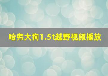 哈弗大狗1.5t越野视频播放