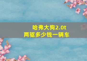 哈弗大狗2.0t两驱多少钱一辆车