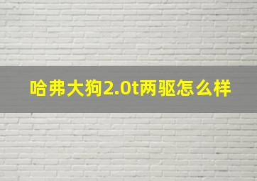 哈弗大狗2.0t两驱怎么样