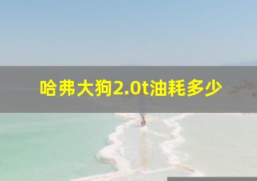 哈弗大狗2.0t油耗多少