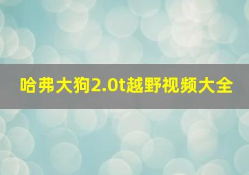 哈弗大狗2.0t越野视频大全