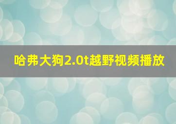 哈弗大狗2.0t越野视频播放