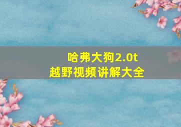 哈弗大狗2.0t越野视频讲解大全