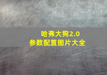 哈弗大狗2.0参数配置图片大全