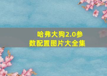 哈弗大狗2.0参数配置图片大全集