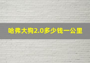 哈弗大狗2.0多少钱一公里