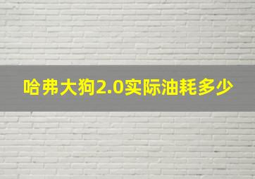 哈弗大狗2.0实际油耗多少