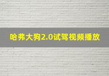 哈弗大狗2.0试驾视频播放