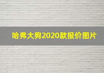 哈弗大狗2020款报价图片