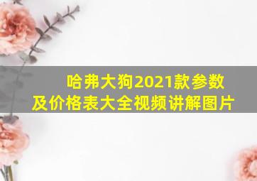 哈弗大狗2021款参数及价格表大全视频讲解图片