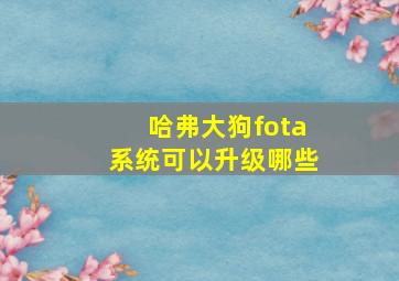 哈弗大狗fota系统可以升级哪些