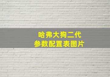 哈弗大狗二代参数配置表图片