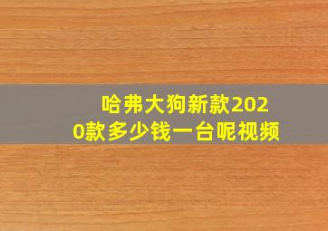 哈弗大狗新款2020款多少钱一台呢视频