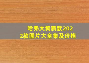 哈弗大狗新款2022款图片大全集及价格