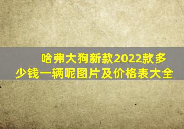 哈弗大狗新款2022款多少钱一辆呢图片及价格表大全