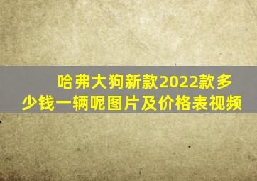 哈弗大狗新款2022款多少钱一辆呢图片及价格表视频