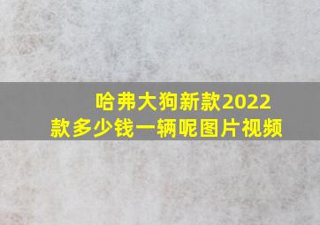 哈弗大狗新款2022款多少钱一辆呢图片视频