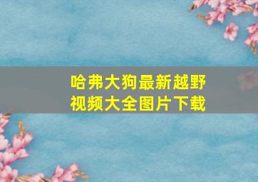 哈弗大狗最新越野视频大全图片下载