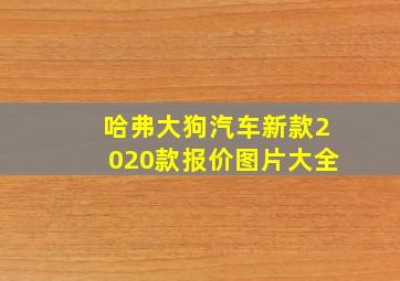 哈弗大狗汽车新款2020款报价图片大全