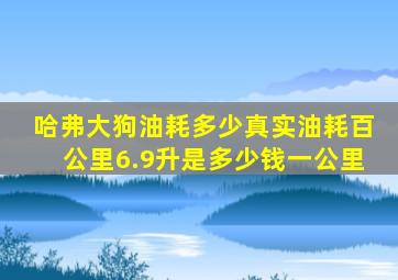 哈弗大狗油耗多少真实油耗百公里6.9升是多少钱一公里