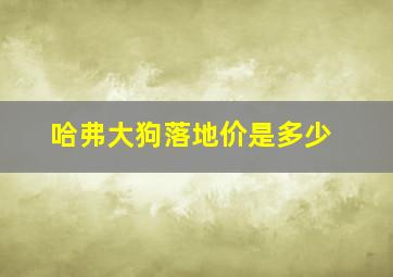 哈弗大狗落地价是多少