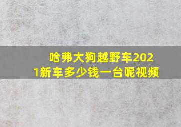 哈弗大狗越野车2021新车多少钱一台呢视频