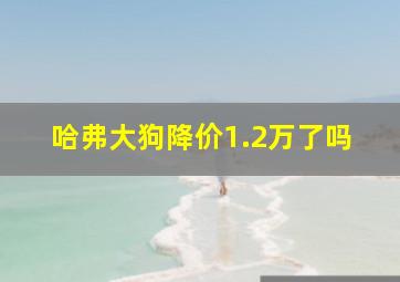 哈弗大狗降价1.2万了吗