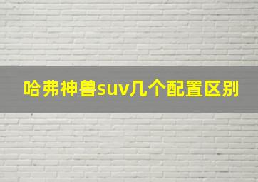 哈弗神兽suv几个配置区别