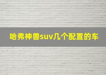 哈弗神兽suv几个配置的车