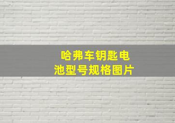 哈弗车钥匙电池型号规格图片