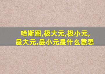 哈斯图,极大元,极小元,最大元,最小元是什么意思