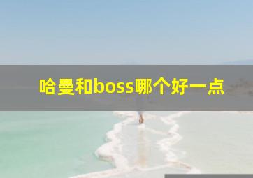 哈曼和boss哪个好一点