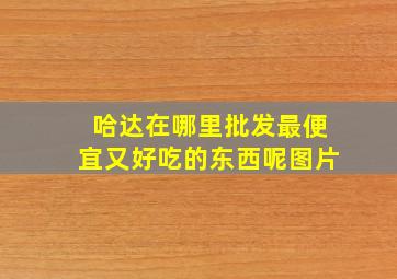 哈达在哪里批发最便宜又好吃的东西呢图片