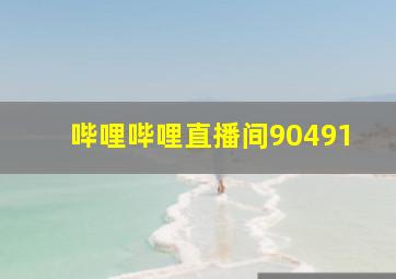 哔哩哔哩直播间90491